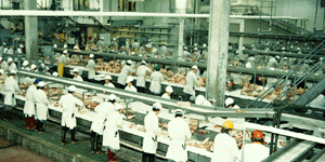 food processing
